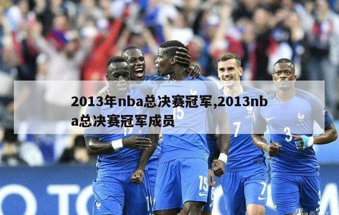 2013年nba总决赛冠军,2013nba总决赛冠军成员