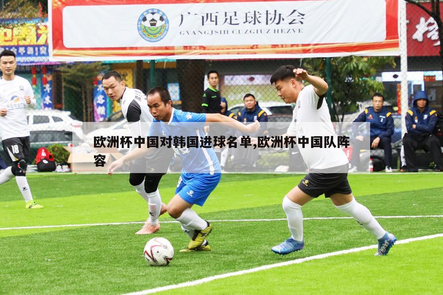欧洲杯中国对韩国进球名单,欧洲杯中国队阵容
