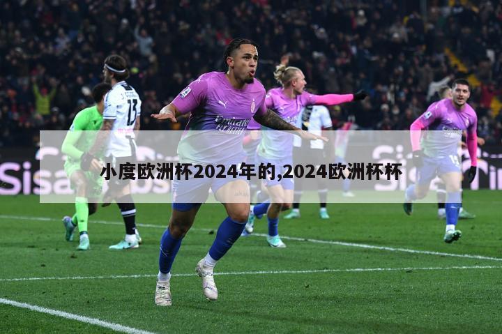 小度欧洲杯2024年的,2024欧洲杯杯