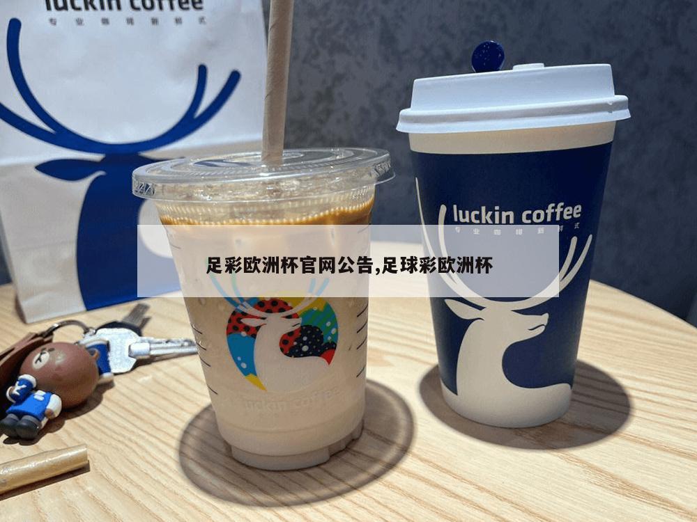 足彩欧洲杯官网公告,足球彩欧洲杯