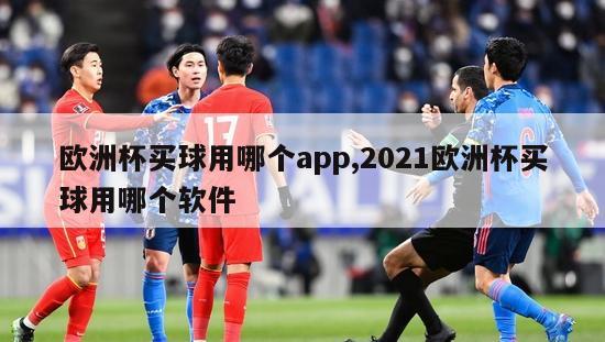 欧洲杯买球用哪个app,2021欧洲杯买球用哪个软件