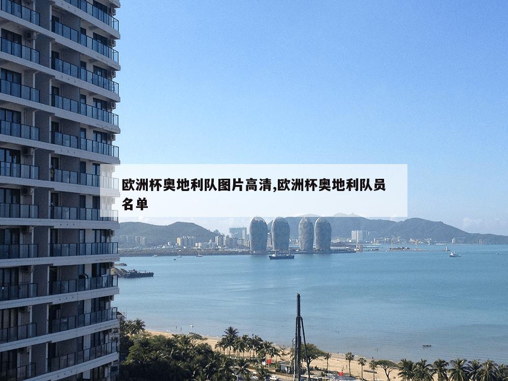 欧洲杯奥地利队图片高清,欧洲杯奥地利队员名单