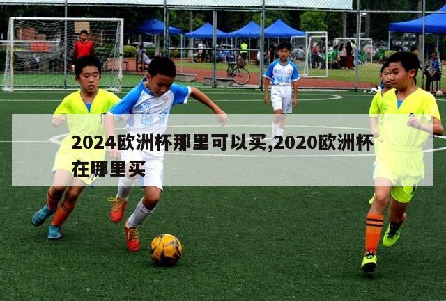 2024欧洲杯那里可以买,2020欧洲杯在哪里买