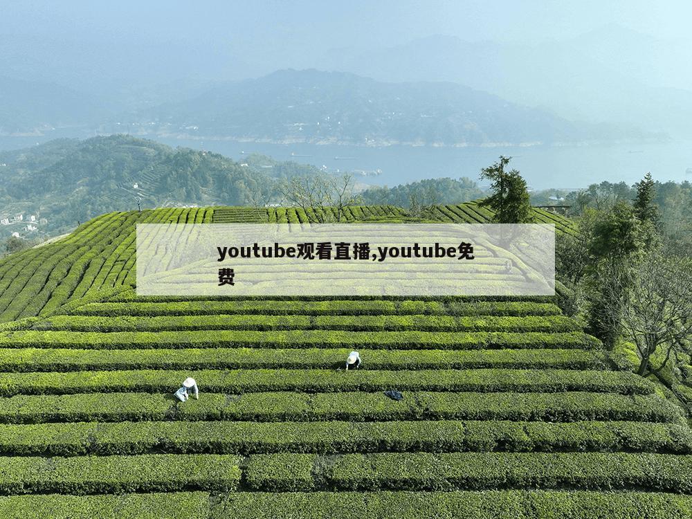 youtube观看直播,youtube免费