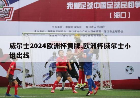 威尔士2024欧洲杯黄牌,欧洲杯威尔士小组出线