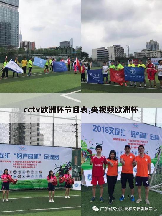 cctv欧洲杯节目表,央视频欧洲杯