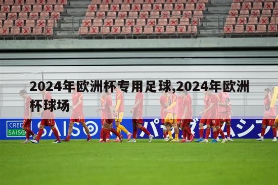 2024年欧洲杯专用足球,2024年欧洲杯球场